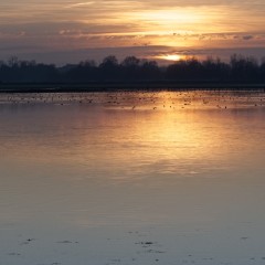 20200208-001