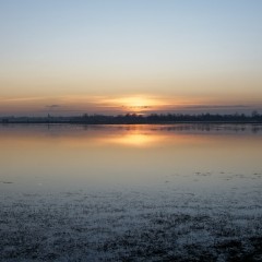 20200208-005