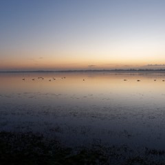 20200208-044