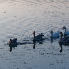 20200208-052