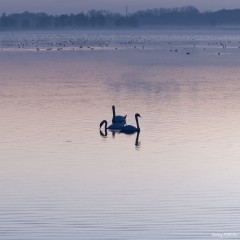 20200208-056-01