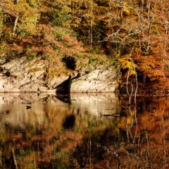 Couleurs d’automne sur le plan d’eau du Gesvres