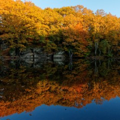 Couleurs d'automne sur le plan d'eau du Gesvres