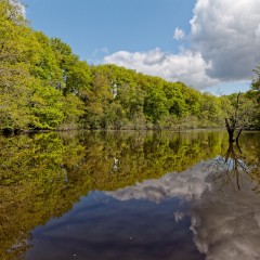 Le plan d'eau du Gesvres