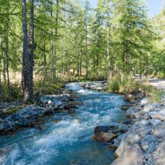 Le torrent du Petit Tabuc