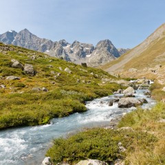 Vallon du Petit Tabuc