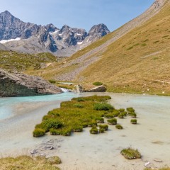 Le torrent du Petit Tabuc