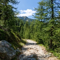 Chemin de montée au lac Nègre