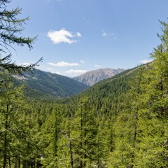 Montée au lac Nègre