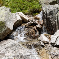 Petit torrent