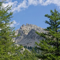 Montée au lac Nègre