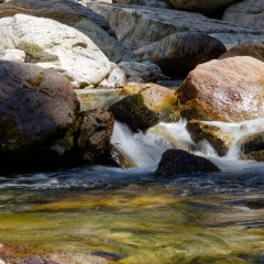 Le torrent du Boréon