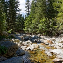 Le torrent du Boréon