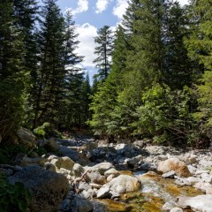 Le torrent du Boréon