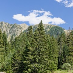 Le Boréon