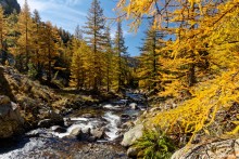 Couleurs d'automne