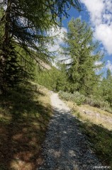 Le sentier de montée au lac Miroir
