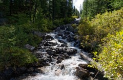 Le torrent de la Pisse
