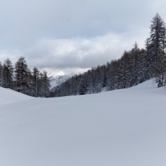 Lors d'une randonnée à ski
