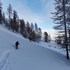 Traversée en forêt dans la poudreuse