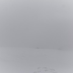 Brume