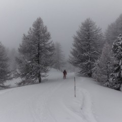 Randonnée à ski