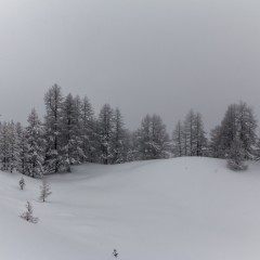 Lors d'une randonnée à ski