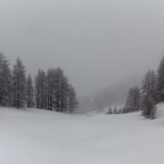 Lors d'une randonnée à ski
