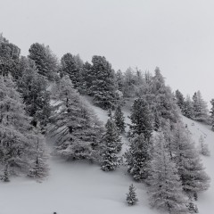 Lors d'une randonnée à ski