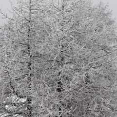 Lors d'une randonnée à ski