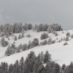 Lors d'une randonnée à ski