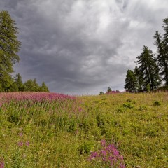 L'orage menace