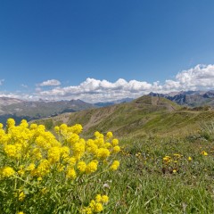 Sur les hauteurs de Risoul