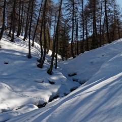 Petit torrent en forêt