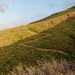 Stromboli