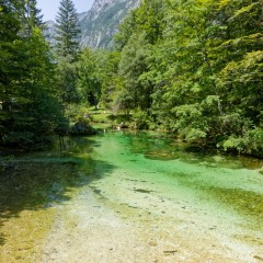 Sava Bojinjka