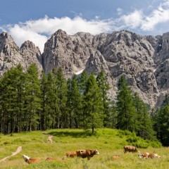 Parc national du Triglav
