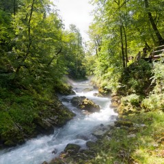 Rivière Radovna dans les gorges de Vintgar