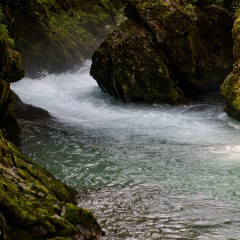 Rivière Radovna dans les gorges de Vintgar