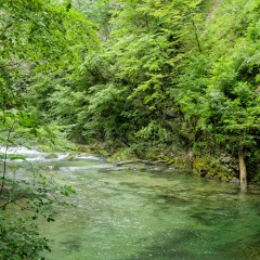 Rivière Radovna dans les gorges de Vintgar