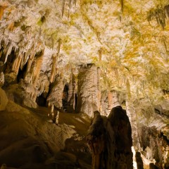 Grotte de Postojna