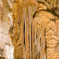Grotte de Postojna