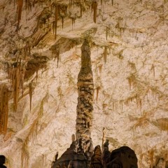 Grotte de Postojna
