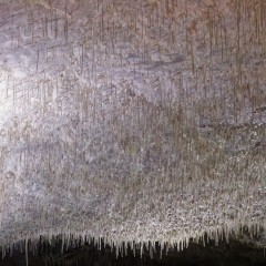 Grotte de Postojna