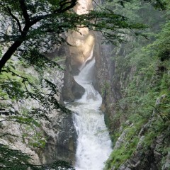 Parc et grottes de Rakov Škocjan